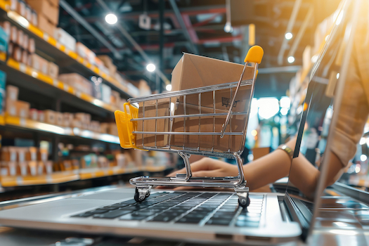 Fulfillment dla e-commerce: Kompleksowa obsługa zamówień sklepu internetowego